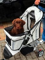 Hondenwandelwagen Nieuwstaat, Dieren en Toebehoren, Ophalen of Verzenden, Zo goed als nieuw
