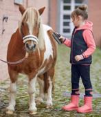 Booties Rainless 32, Dieren en Toebehoren, Paardrijkleding, Kinderen, Ophalen of Verzenden, Gersalsport@home.nl, Schoeisel