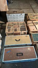 Duivenkorven reismanden opleermanden korf, Dieren en Toebehoren, Vogels | Duiven, Meerdere dieren