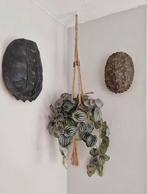 2x schildpadden schild van HK LIVING, Huis en Inrichting, Ophalen of Verzenden, Zo goed als nieuw