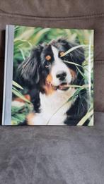 NIEUW FOTOALBUM BERNER SENNER HOND - INFO ZIE ADVERTENTIE, Ophalen of Verzenden