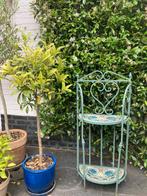 Brocante wandtuinrek, Tuin en Terras, Tuinwanddecoratie, Ophalen of Verzenden, Zo goed als nieuw