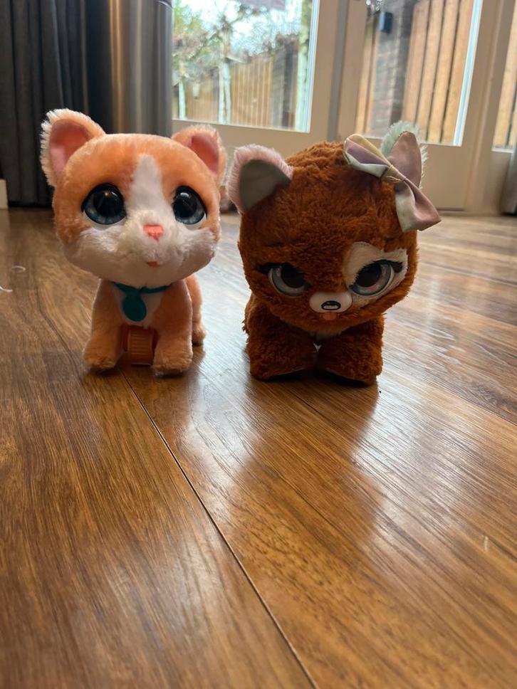 Speelgoed Hond & Kat - Gebruikt, maar leuk!, Kinderen en Baby's, Speelgoed | Knuffels en Pluche, Gebruikt, Hond, Ophalen of Verzenden