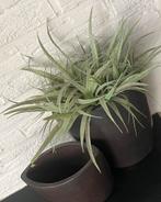 Mooie bruine potten met decoratie, Huis en Inrichting, Woonaccessoires | Vazen, Ophalen, Overige kleuren, Aardewerk of Porselein