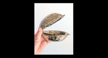 notenkraker in de vorm van een walnoot beschikbaar voor biedingen