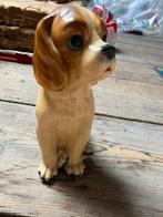Schattig hondje. Vintage beeld., Ophalen of Verzenden, Gebruikt