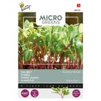 Microgreens, Snijbiet Regenboogmengsel, Ophalen of Verzenden, Gehele jaar, Volle zon, Zaad