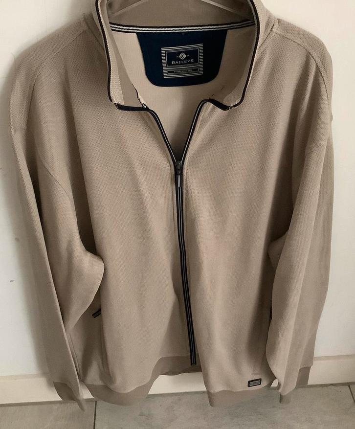 Baileys vest maat 3 XL, Kleding | Heren, Grote Maten, Nieuw, Trui of Vest, Beige, Ophalen of Verzenden