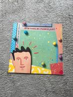 Diethelm & Famulari - Valleys In My Head Vinyl LP, Ophalen of Verzenden, Gebruikt, 12 inch