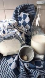 Kefir yoghurtplantje melkkefir  kefirroosjes biologische, Ophalen of Verzenden