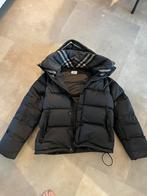 Burberry Jas - Stijlvol en Warm!, Zwart, Maat 42/44 (L), Ophalen of Verzenden, Zo goed als nieuw