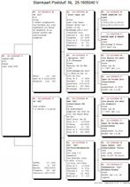 19 Top kweker van postduiven met zeer goede afstamming, Vrouwelijk, Postduif