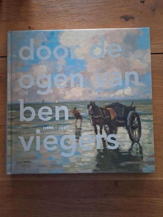 Williëtte Wolters-Groeneveld - Door de ogen van Ben Viegers, Antiek en Kunst, Antiek | Boeken en Bijbels, Ophalen of Verzenden
