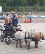 Menwagen shetlander, Dieren en Toebehoren, Zo goed als nieuw, Pony