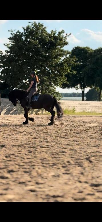 Bijrijder gezocht beschikbaar voor biedingen