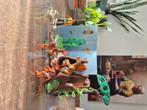 Playmobil 5233 dinosaurus holle boom, Ophalen of Verzenden, Gebruikt