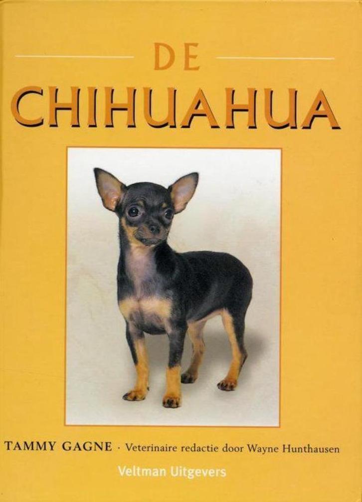 De Chihuahua - Tammy Gagne, Boeken, Dieren en Huisdieren, Zo goed als nieuw, Honden, Ophalen of Verzenden