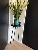 Goossens plantenstandaard, Huis en Inrichting, Tafels | Bijzettafels, Minder dan 55 cm, Gebruikt, Metaal of Aluminium, Rond