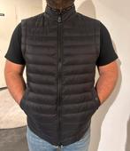 Peuterey Bodywarmer - Maat L Nieuw, Ophalen, Maat 52/54 (L), Zwart, Nieuw