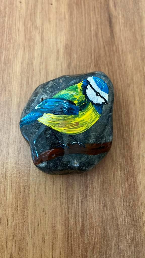 Beschilderde steen koolmeesje, Antiek en Kunst, Kunst | Overige Kunst, Ophalen of Verzenden