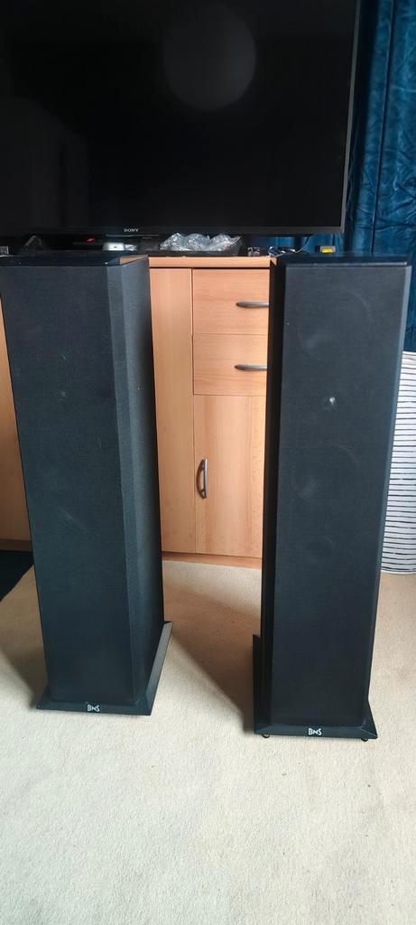 BNS Ellessy 22 luidsprekers – uitzonderlijke geluidskwalitei, Audio, Tv en Foto, Luidsprekers, Gebruikt, Front, Rear of Stereo speakers