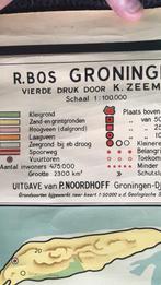 Oude Schoolplaat - Aardrijkskunde, Antiek en Kunst, Antiek | Schoolplaten, Ophalen, Aardrijkskunde