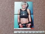 Poster P!nk  Pink Maat A3 28x41 cm Hitkrant Spike K-Otic, Rechthoekig Staand, Ophalen of Verzenden, Zo goed als nieuw, A1 t/m A3
