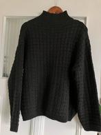 Zwarte dames trui. L, Kleding | Dames, Truien en Vesten, Ophalen of Verzenden, Zo goed als nieuw, Zwart