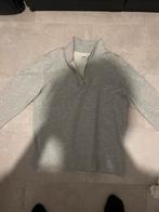 Zara trui - maat S - Nieuw!, Kleding | Dames, Ophalen of Verzenden, Nieuw, Maat 36 (S)