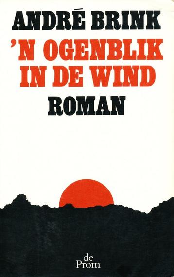 'N Ogenblik in de wind - Andre Brink   beschikbaar voor biedingen
