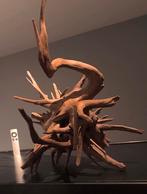 Uniek stuk Kienhout / Driftwood / Spiderwood, Hout Decoratie, Ophalen of Verzenden, Zo goed als nieuw, Plant(en), Steen of Hout