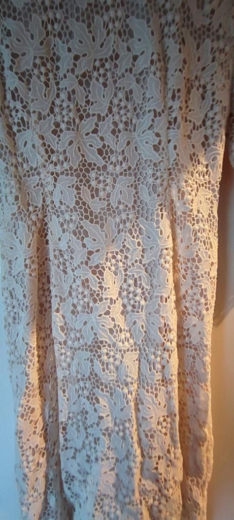h&m conscious exclusive kanten jurk vintage trouwjurk, Kleding | Dames, Jurken, Nieuw, Maat 38/40 (M), Beige, Knielengte, Ophalen of Verzenden