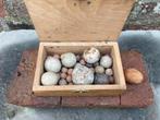 houten kistje met ongeveer 35 klei en steengoed knikkers, Ophalen of Verzenden