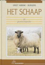 Het schaap - Greet Abbink-Burgers, Boeken, Dieren en Huisdieren, Ophalen of Verzenden, Nieuw, Vee