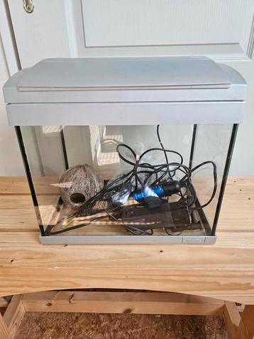Zoetwater aquarium superfish  beschikbaar voor biedingen