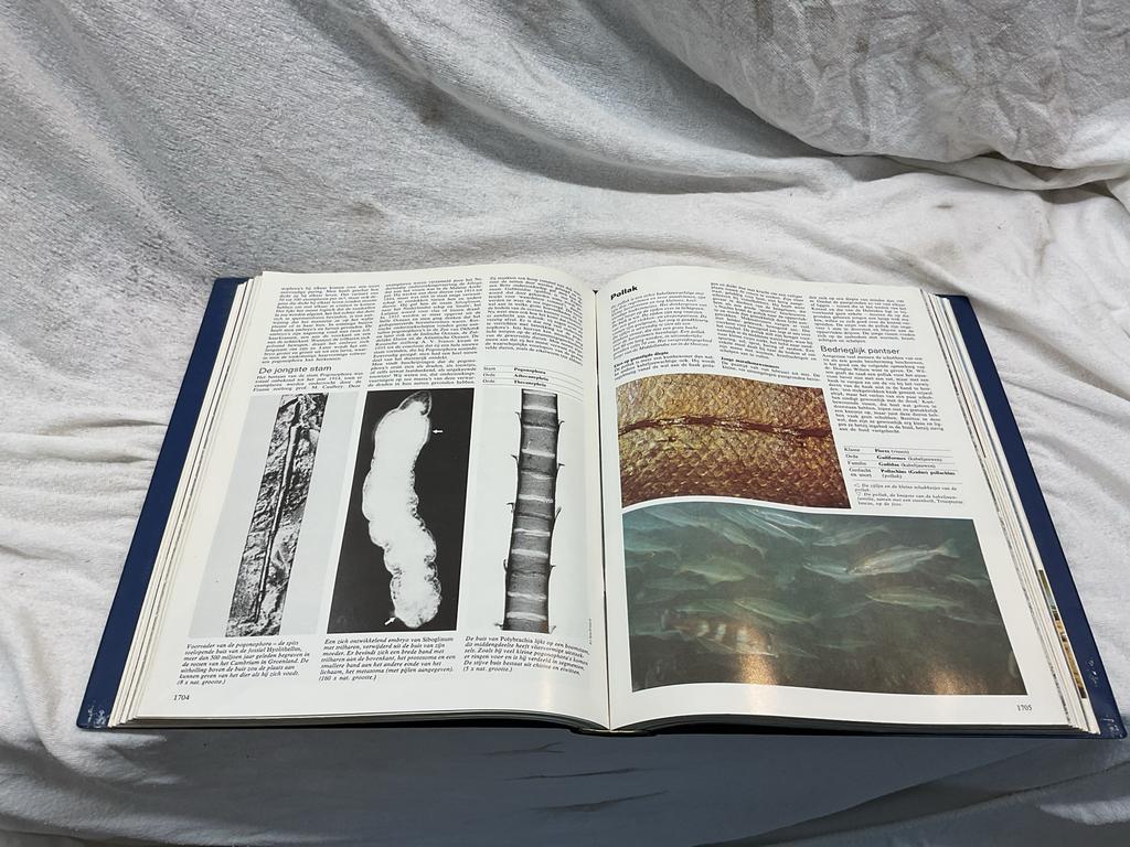 Spectrum Dieren Encyclopedie - Deel, Boeken, Encyclopedieën, Ophalen of Verzenden, Zo goed als nieuw, Dieren, Los deel