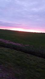 Dekens gezocht voor paarden en ponys mogen kapot zijn alle m, Dieren en Toebehoren, Stalling en Weidegang