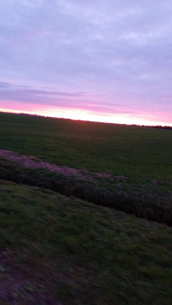 Dekens gezocht voor paarden en ponys mogen kapot zijn alle m, Dieren en Toebehoren, Stalling en Weidegang