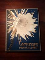 Plaatjesalbum Verkade - Cactussen (1931), Boeken, Prentenboeken en Plaatjesalbums, Ophalen of Verzenden, Gelezen, A.J. van Laren