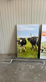 Schilderijen koeien eten, Huis en Inrichting, Woonaccessoires | Schilderijen, Tekeningen en Foto's, Ophalen, 125 cm of meer, 75 cm of meer