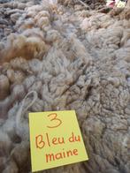 nr 3 Geschoren vacht van een Bleu du Maine, Hobby en Vrije tijd, Ophalen of Verzenden