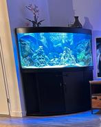 Juwel hoek aquarium 350liter .zonder of met vissen, Ophalen of Verzenden, Gebruikt