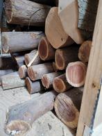 Draaihout en knutselhout; taxus, gouden regen, enz., Ophalen of Verzenden, Zo goed als nieuw
