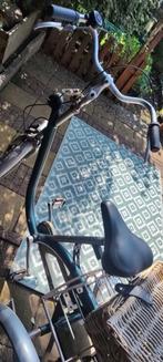 Van Raam Maxi driewieler, Fietsen en Brommers, Ophalen of Verzenden, Zo goed als nieuw