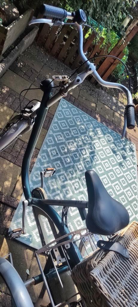 Van Raam Maxi driewieler, Fietsen en Brommers, Fietsen | Driewielfietsen, Zo goed als nieuw, Ophalen of Verzenden
