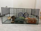 Hamsterkooi & toebehoren, Dieren en Toebehoren, Knaagdieren en Konijnen | Hokken en Kooien, Kooi, Minder dan 75 cm, Zo goed als nieuw
