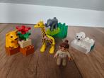Lego Duplo Zoo dieren en verzorger, Kinderen en Baby's, Speelgoed | Duplo en Lego, Ophalen of Verzenden, Zo goed als nieuw, Duplo