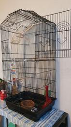 Grote vogelkooi, demonteerbaar, Dieren en Toebehoren, Ophalen of Verzenden, Zo goed als nieuw, Metaal, Volière