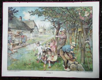 Oude schoolplaat met het boerenleven met appelboom beschikbaar voor biedingen