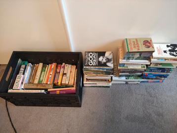 Grote hoeveelheid Engels talige boeken partij Engelse boeken beschikbaar voor biedingen